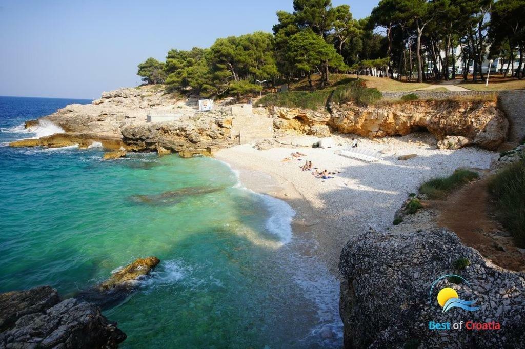 Apartman Ivankovic*** PUY 외부 사진